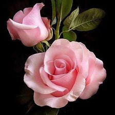 Cross stitch pattern: #49906