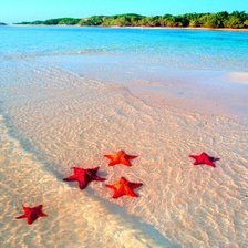Cross stitch pattern: #50723