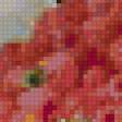 Preview of cross stitch pattern: #51397