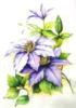 Cross stitch pattern: #51585