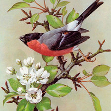 Cross stitch pattern: #52130