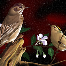 Cross stitch pattern: #52137