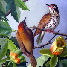 Cross stitch pattern: #52151