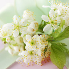 Cross stitch pattern: #53503