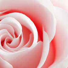 Cross stitch pattern: #53512