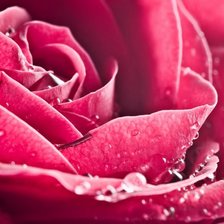 Cross stitch pattern: #53516