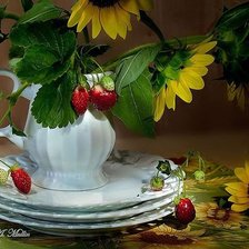 Cross stitch pattern: #56459