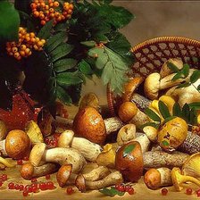Cross stitch pattern: #56485