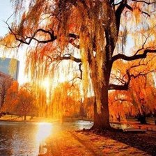 Cross stitch pattern: #63561