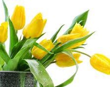 Cross stitch pattern: #63859