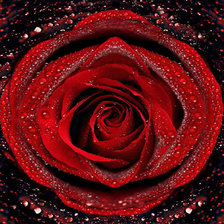 Cross stitch pattern: #69267