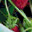 Preview of cross stitch pattern: #70092