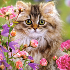 Cross stitch pattern: #70152