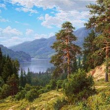 Cross stitch pattern: #70434