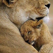 Cross stitch pattern: #70828