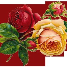 Cross stitch pattern: #71758