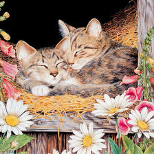 Source of cross stitch pattern: #72121