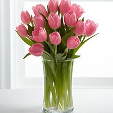 Cross stitch pattern: #72227