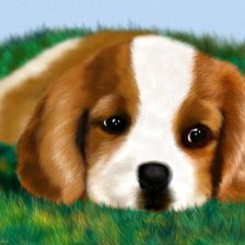 Cross stitch pattern: #73626