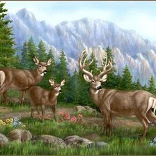 Cross stitch pattern: #77436