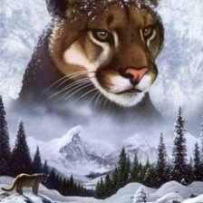 Cross stitch pattern: #77448