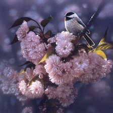 Cross stitch pattern: #79151
