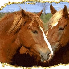 Cross stitch pattern: #79424