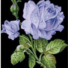 Cross stitch pattern: #79505