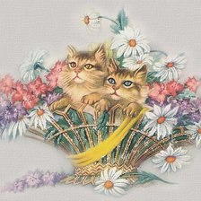 Cross stitch pattern: #79529