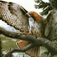 Cross stitch pattern: #80570