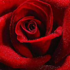 Cross stitch pattern: #80929