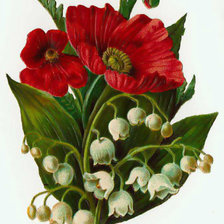 Cross stitch pattern: #81043