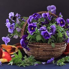 Cross stitch pattern: #83443