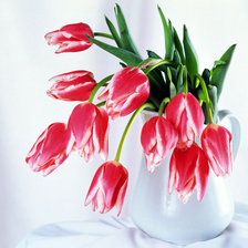 Cross stitch pattern: #83452