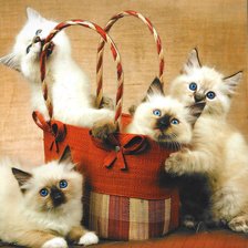 Cross stitch pattern: #84611