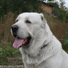 Cross stitch pattern: #85944