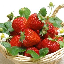 Cross stitch pattern: #87705