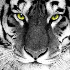Cross stitch pattern: #89934