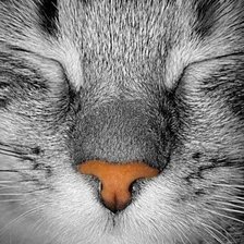 Cross stitch pattern: #89947