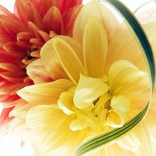 Cross stitch pattern: #90323