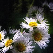Cross stitch pattern: #90521
