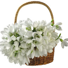 Cross stitch pattern: #90590