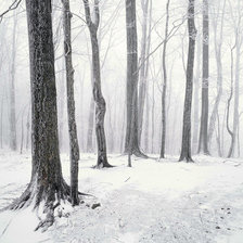 Cross stitch pattern: #91740