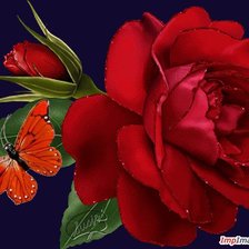 Cross stitch pattern: #91762