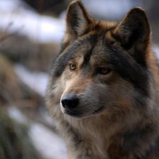 Cross stitch pattern: #91775