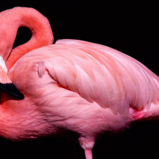 Cross stitch pattern: #91824