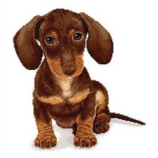 Cross stitch pattern: #97168