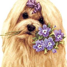 Cross stitch pattern: #97720