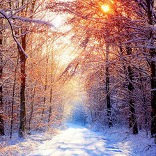 Cross stitch pattern: #97983