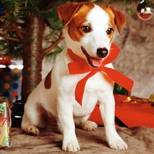 Cross stitch pattern: #100344